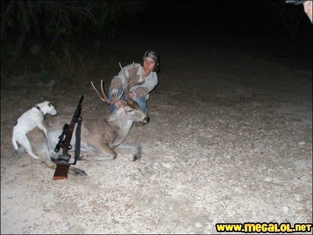 Chien de chasseur nécrophile...