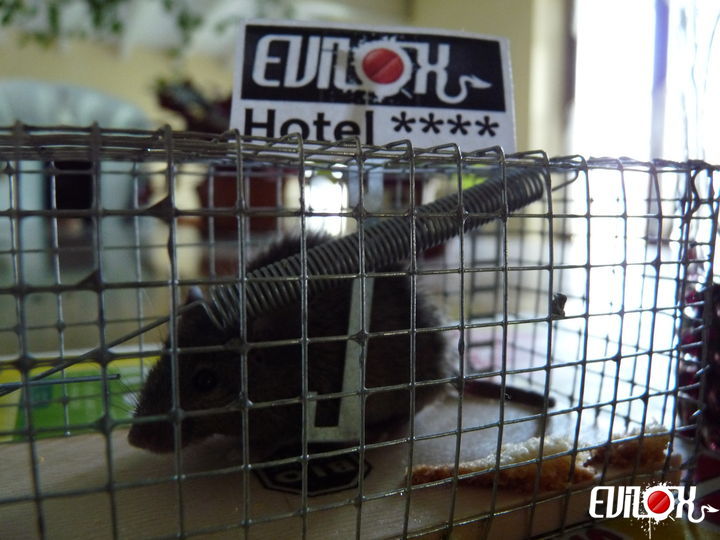 Hotel Evilox