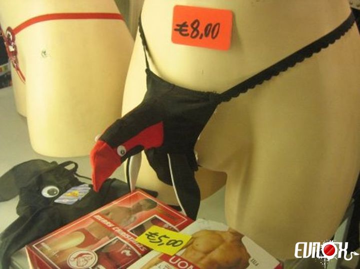 Le petit oiseau va sortir