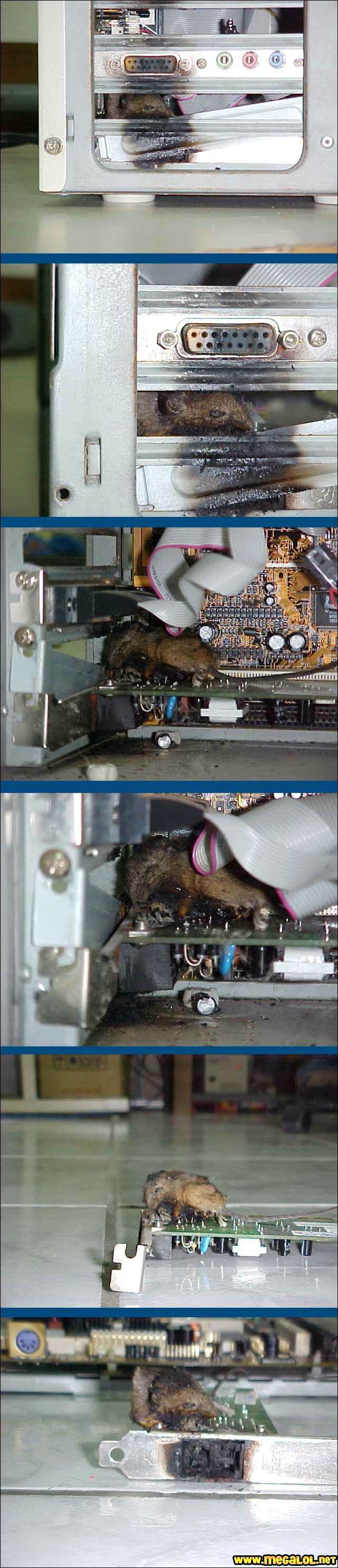 Radiateur éléctrique